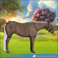 Horse Color:Silver Black 