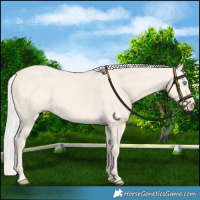 Horse Color:Chocolate Silver Perlino Dun 