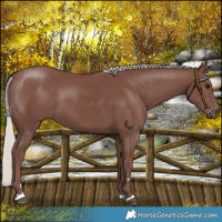 Horse Color:Chocolate Silver Black 
