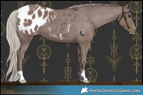 Horse Color:Chocolate Silver Black Blanket 