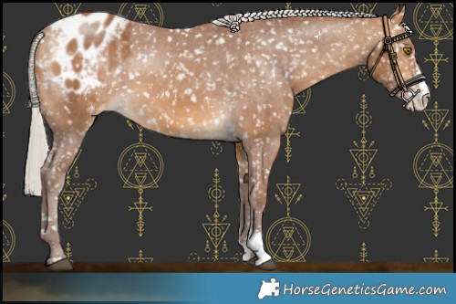 Horse Color:Chocolate Silver Buckskin Sabino Snowflake Varnish 