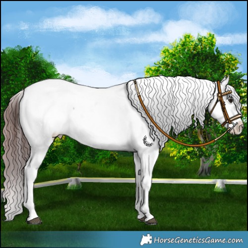 Horse Color:Chocolate Brown Near Fewspot Rabicano 