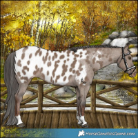 Horse Color:Liver Red Dun Blanket 