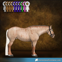 Horse Color:Silver Grullo Pearl Rabicano Brindle 