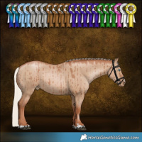 Horse Color:Silver Grullo Pearl Rabicano Brindle