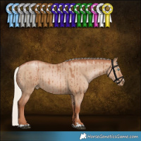 Horse Color:Silver Grullo Pearl Rabicano Brindle 