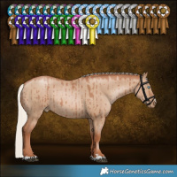 Horse Color:Silver Grullo Pearl Rabicano Brindle