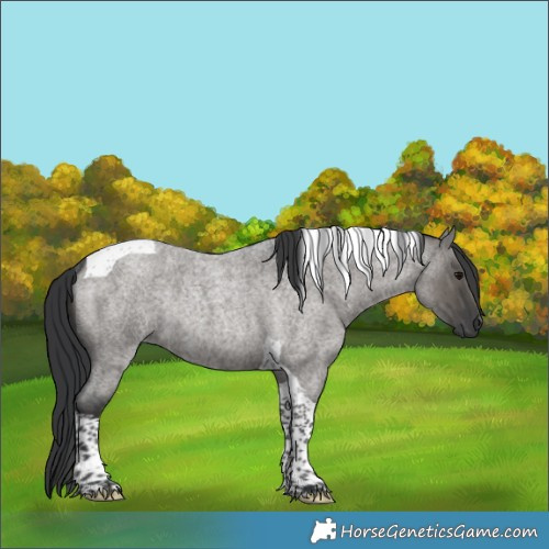 Horse Color:Grullo Roan Tobiano Rabicano Brindle 