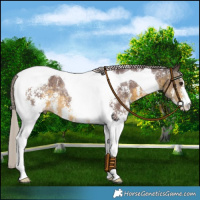 Horse Color:Chocolate Silver Buckskin Sabino Tobiano 