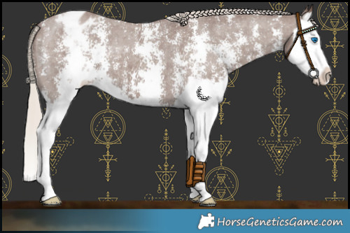 Horse Color:Chocolate Silver Smoky Black Sabino Splash Appaloosa 