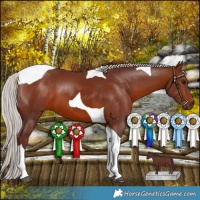 Horse Color:Chocolate Silver Brown Tobiano 