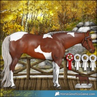 Horse Color:Chocolate Silver Brown Tobiano 