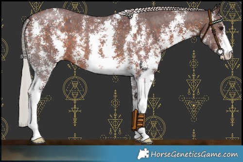 Horse Color:Chocolate Silver Brown Sabino