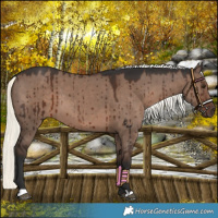 Horse Color:Liver Red Dun Mushroom Brindle