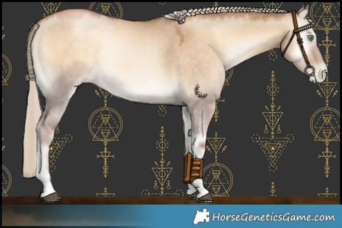 Horse Color:Chocolate Palomino Snowdrop Onyx 