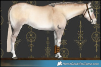 Horse Color:Chocolate Palomino Snowdrop Onyx