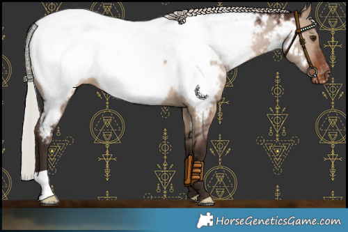 Horse Color:Silver Brown Dun Near Fewspot 