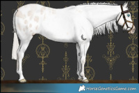 Horse Color:Chocolate Palomino Roan Pearl Blanket 