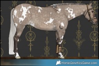 Horse Color:White Spotted Silver Brown Dun Mushroom 