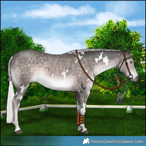Horse Color:Platinum White Spotted Chocolate Palomino Mushroom Rabicano