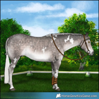 Horse Color:Platinum White Spotted Chocolate Palomino Mushroom Rabicano 