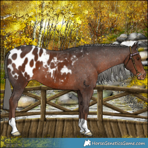 Horse Color:Liver Chestnut Mushroom Blanket 