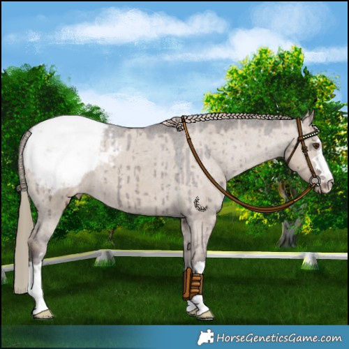 Horse Color:Liver Red Dun Snowcap Brindle 