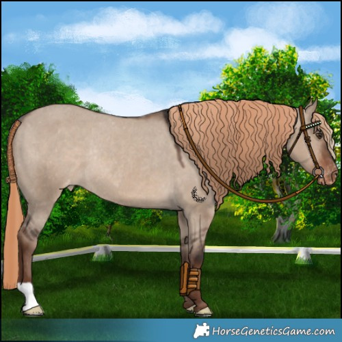 Horse Color:Liver Red Dun Varnish Rabicano 