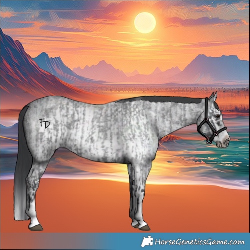 Horse Color:Blue Roan Sabino Splash and Blue Roan Sabino Splash Frame