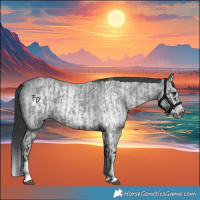 Horse Color:Blue Roan Sabino Splash and Blue Roan Sabino Splash Frame