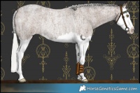 Horse Color:Liver Red Dun Roan Mushroom Splash Rabicano Brindle 