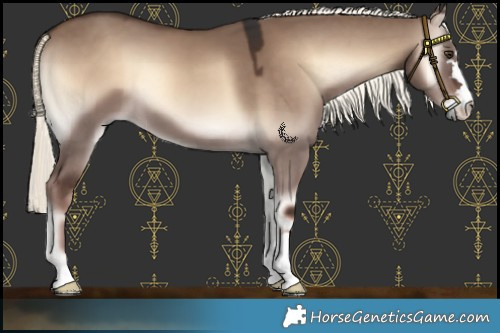 Horse Color:Liver Red Dun Onyx Mushroom 
