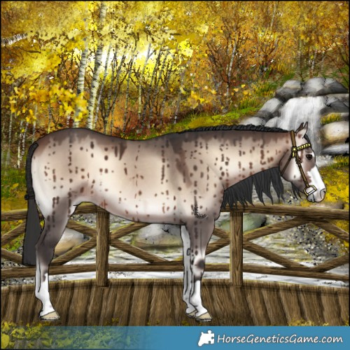 Horse Color:Brown Onyx Mushroom Brindle