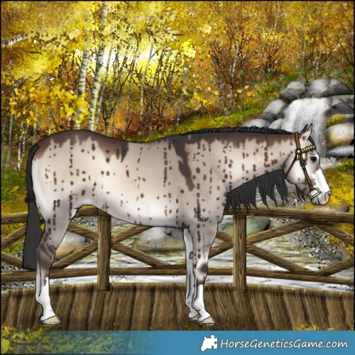 Horse Color:Brown Onyx Mushroom Brindle 