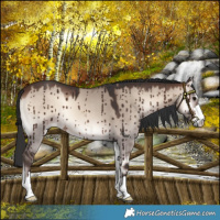 Horse Color:Brown Onyx Mushroom Brindle 
