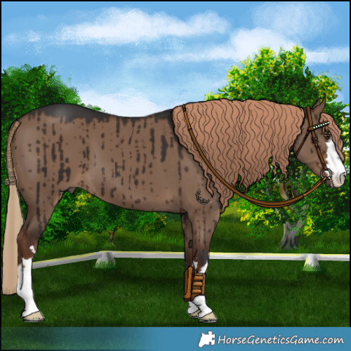 Horse Color:Liver Red Dun Brindle 