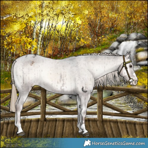 Horse Color:Liver Red Dun Onyx Varnish Brindle 
