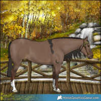 Horse Color:Liver Red Dun