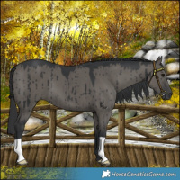 Horse Color:Grullo Mushroom Brindle