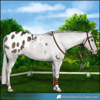 Horse Color:Liver Red Dun Mushroom Blanket Brindle