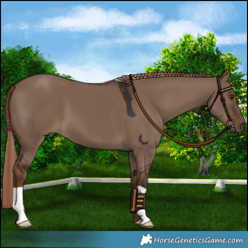 Horse Color:Liver Red Dun 