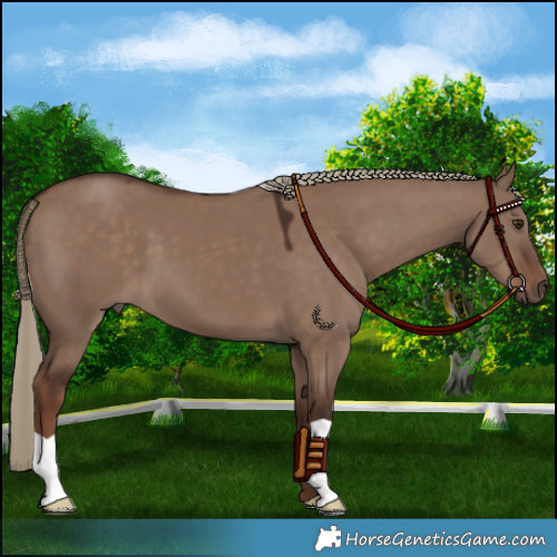 Horse Color:Liver Red Dun Mushroom