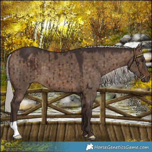 Horse Color:Silver Brown Dun Brindle 