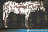 Horse Color:White Spotted Liver Red Dun Mushroom Near Leopard 
