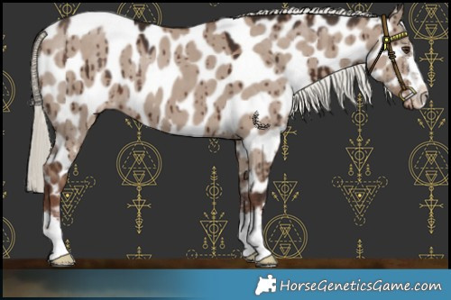 Horse Color:Liver Red Dun Mushroom Near Leopard Brindle 