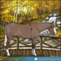 Horse Color:Liver Red Dun Mushroom 