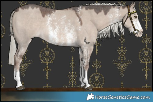 Horse Color:Liver Red Dun Mushroom Sabino 