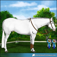 Horse Color:White Spotted Liver Red Dun Mushroom Fewspot Brindle