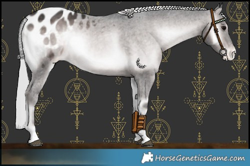 Horse Color:Platinum Silver Brown Onyx Appaloosa 