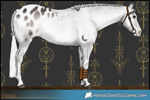 Horse Color:Platinum Silver Brown Onyx Blanket 